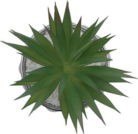 Τεχνητό Φυτό σε Μοντέρνο Κεραμικό Γλαστράκι 8.5x14cm