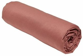 Τοποθετημένο κάτω φύλλο TODAY Essential τερακότα 140 x 200 cm