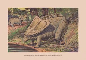 Εικονογράφηση Torosaurus and Monoclonius, Cretaceous period, chromolithograph,, ZU_09