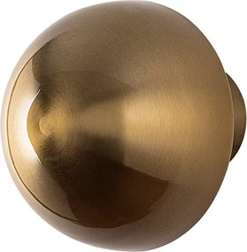Wall Lamp Fungal - 13361 Gold