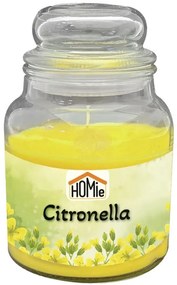 Αρωματικό Κερί Citronella Σε Βάζο 11x14,5εκ. Homie 37-449
