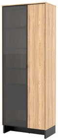 Βιτρίνα Fresno AL102, Ανοιχτό χρώμα ξύλου, Μαύρο, Με πόρτες, Με συρτάρια, Ο αριθμός των θυρών: 2, Αριθμός συρταριών: 2, 196x73x40cm, 74 kg