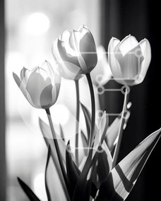 Σετ των 2 Intra Συλλεκτικό Ξύλινο Παζλ Plywood  4mm - Λευκές τουλίπες σε ασπρόμαυρο βάζο στο Windowsill Σε Ξύλινο Κουτί - Διαστάσεις: 10x10 cm – 25 κομμάτια