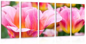 5 μέρη εικόνα λιβάδι με ροζ τουλίπες - 100x50