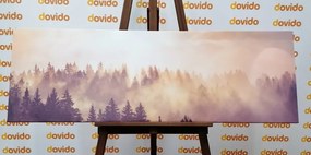 Εικόνα ομίχλης πάνω από το δάσος - 150x50