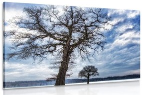 Εικόνα δέντρων το χειμώνα - 60x40