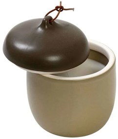 Αρωματικό Κερί Σε Βάζο Amber & Tonka FRS110 10,2x10,2x12cm Olive-Brown Espiel Κεραμικό