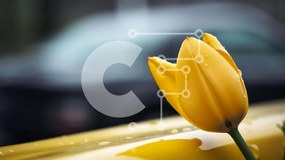 Intra Συλλεκτικό Ξύλινο Παζλ Plywood 4mm - Κίτρινη τουλίπα στο ταμπλό αυτοκινήτου Σε Ξύλινο Κουτί - Διαστάσεις Puzzle: 10x10 cm – 25 κομμάτια