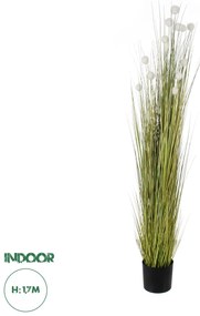 20074 GloboStar®  Artificial Garden ERIOPHORUM ANGUSTIFOLIUM COTTON GRASS 20074 Τεχνητό Διακοσμητικό Φυτό Γρασίδι του Βαμβακιού Υ170cm