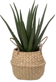 Τεχνητό Φυτό Σε Γλάστρα 37εκ. A-S Aloe Natural 189119