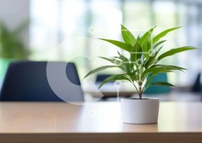 Intra Συλλεκτικό Ξύλινο Παζλ Plywood  4mm - Μικρό φυτό σε γλάστρα σε τραπέζι γραφείου Σε Ξύλινο Κουτί - Διαστάσεις Puzzle: 10x10 cm – 25 κομμάτια