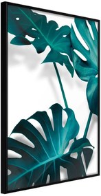 Αφίσα - Turquoise Monstera II - 40x60 - Μαύρο - Χωρίς πασπαρτού