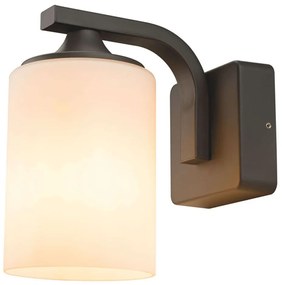 Φωτιστικό Τοίχου - Απλίκα LG5771G 11,8x21,2cm 1xE27 60W IP54 Dark Grey Aca Aluminium, Glass