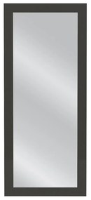 Καθρέπτης Τοίχου ArteLibre GILBERT Ανθρακί Μοριοσανίδα/Γυαλί 105x45cm