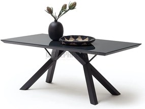 ΤΡΑΠΕΖΙ ΑΝΘΡΑΚΙ ΓΥΑΛΙ / ΜΕΤΑΛΛΟ 180x95x75