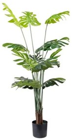 New plan MONSTERA NP6314_155_22 ΥΨΟΣ 155cm Τεμαχιο