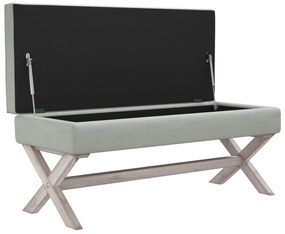 vidaXL Σκαμπό Αποθήκευσης Ανοιχτό Γκρι 110 x 45 x 49 εκ. Βελούδινο