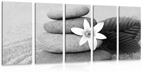Εικόνα 5 μερών λουλούδι και πέτρες στην άμμο σε μαύρο & άσπρο