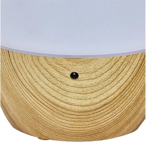 DIFFUSER ΣΥΣΚΕΥΈΣ DIFFUSEUR LED USB 120ML M12 VE12003