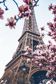 Αφίσα Paris - Eiffel Tower, (61 x 91.5 cm)