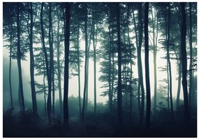 Φωτογραφική ταπετσαρία μυστηριώδες δάσος - 400x280