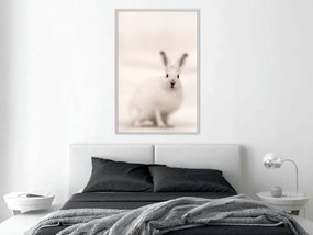 Αφίσα - Curious Rabbit - 40x60 - Χρυσό - Με πασπαρτού