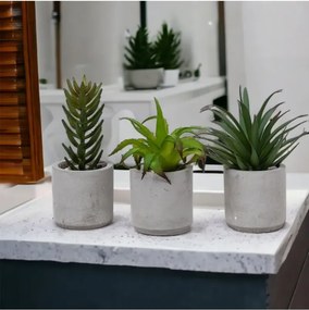 Stewehome Σετ 3 τεμαχίων τεχνητών κάκτων και σουκκulent σε μοντέρνο γκρι πλαστικό δοχείο