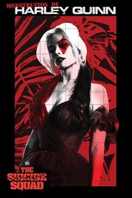 Αφίσα The Suicide Squad - Monstruitos De Harley Quinn, (61 x 91.5 cm)