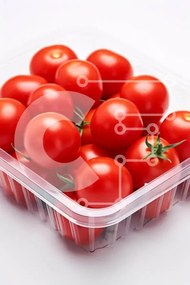 Σετ των 2 Intra Συλλεκτικό Ξύλινο Παζλ Plywood 4mm - Φρέσκες κόκκινες ντομάτες σε ένα δοχείο Σε Ξύλινο Κουτί - Διαστάσεις: 10x10 cm – 25 κομμάτια