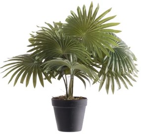 Supergreens Τεχνητό Φυτό Φοίνικας Washingtonia Πράσινο 48 εκ