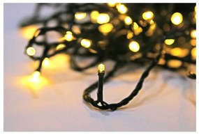 Λαμπάκια 100 LED Επεκτεινόμενα με Πρόγραμμα και Σταθερά χωρίς Τροφοδοσία Πράσινο Καλώδιο 5μ Θερμό Φως IP44 30-10600 Lumen-30-106 30-10600