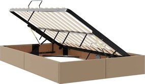 vidaXL Κρεβάτι Αποθήκης Καπουτσίνο 120 x 200 cm Τεχνητό Δέρμα