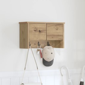 vidaXL Τοίχου Κρεμάστρα με ράφι με πόρτα artisan δρυς 50 x 20 x 30 εκ.
