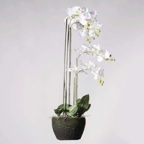 Τεχνητό Φυτό Ορχιδέα Με Βάση Moss 3170-6 39x25x85cm White Supergreens Πολυαιθυλένιο