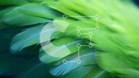Intra Συλλεκτικό Ξύλινο Παζλ Plywood  4mm - Κοντινό πλάνο με πολύχρωμα φτερά που επιπλέουν στον αέρα Σε Ξύλινο Κουτί - Διαστάσεις: 10x10 cm – 25 κομμάτια