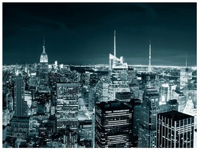 Φωτοταπετσαρία - New York City nightlife 350x270