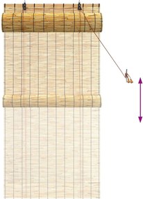 vidaXL Ρόλερ (στόρι) Φυσικό 80 x 160 cm Καλάμι