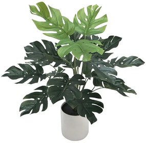 MarHome ΦΥΤΟ ΜΟΝΣΤΕΡΑ REAL TOUCH ΣΕ ΚΑΣΠΩ - Υ40cm 12/ΚΙΒ  04-20039(18833)