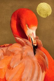 Εικονογράφηση Flamingo With Golden Sun, Kubistika