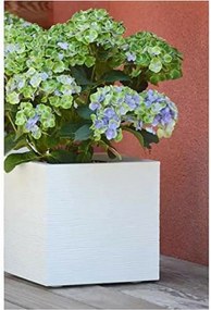 Βάζο Λουλουδιών EDA Λευκό Πλαστική ύλη 5 cm