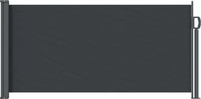 vidaXL Ανακλινόμενος Πλευρικός Απλώστρα 300 x 100 cm Πολυεστέρας
