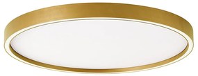 Φωτιστικό Οροφής - Πλαφονιέρα Vanessa 4292801 LED 38W 3000K/4000K 1530Lm 50x5cm Gold Viokef