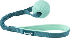 Λουρί Σκύλου Coachi