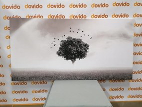 Εικόνα ενός μοναχικού δέντρου σε ένα λιβάδι σε μαύρο & άσπρο - 100x50