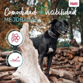 Κολλάρο Σκύλου Company of Animals Γκρι