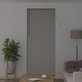 vidaXL Βενετσιάνικες Ρόδες Ασημί 220 x 95 εκ Αλουμίνιο