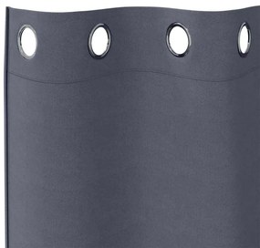 vidaXL Κουρτίνες με κουρτίνες 2 pcs Ανθρακί Πολυεστέρας