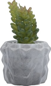 Τεχνητό Φυτό σε Μοντέρνο Κεραμικό Γλαστράκι 7x13cm