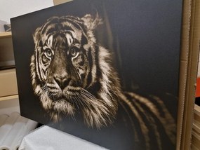Εικόνα τίγρη σε σχέδιο σέπια - 120x80