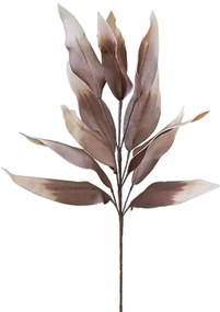 MarHome FOAM ΣΟΚΟΛΑ ΜΕΤΑΛΛΙΚΟ ΦΥΛΛΟ Y85cm. 12/60ΚΙΒ  00-1543-11